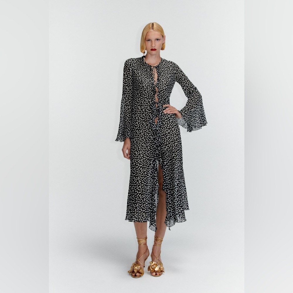 Zara polka dot long sleeve sheer duster